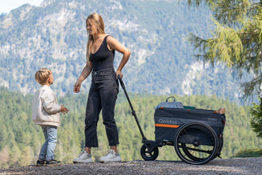 Qeridoo Qubee XL cargo trailer Grey