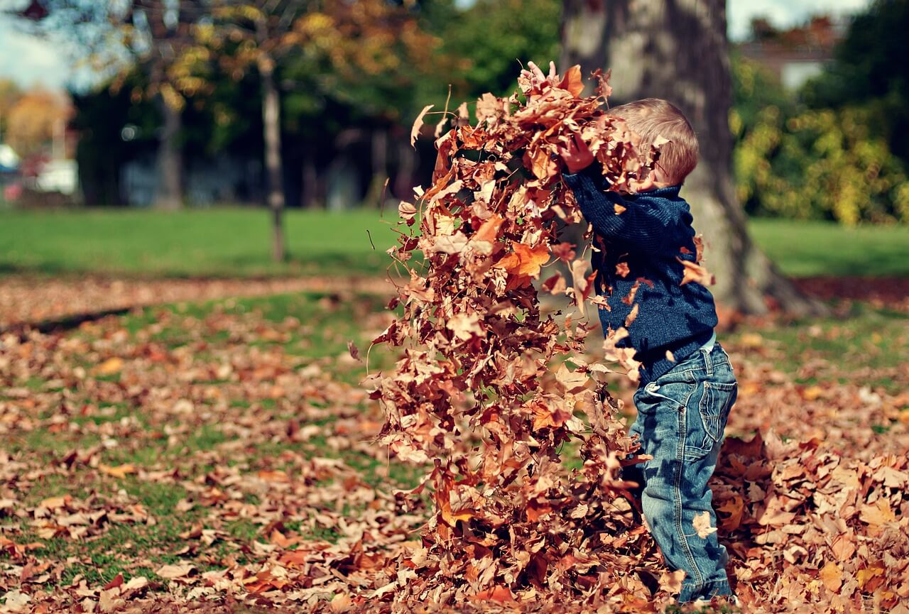 Kind im herbst mit Blättern